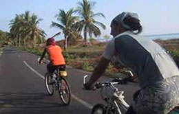 Biking Biking
