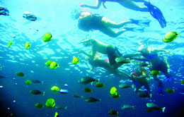 Snorkeling