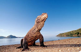 Komodo Island - Flores Komodo Island - Flores