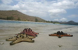 Gili Sudak Gili Sudak