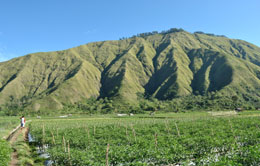 Gunung Sari Gunung Sari