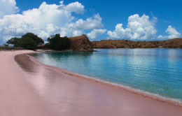 Pink Beach Pink Beach