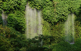 Sendang Gile Waterfall Sendang Gile Waterfall