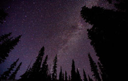 Starlight Starlight