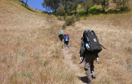 Kalimati Trekking Kalimati Trekking