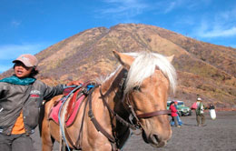 Bromo Bromo