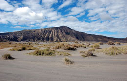 Bromo Bromo