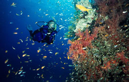 Bunaken Bunaken