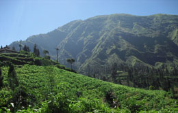 Cemoro Lawang Cemoro Lawang