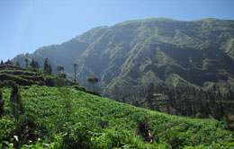 Cemoro Lawang from Probolinggo Cemoro Lawang from Probolinggo