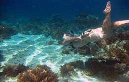 Gili Air Snorkeling Gili Air Snorkeling