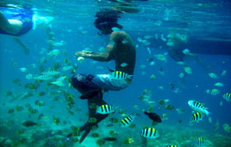 Gili Air Snorkeling Gili Air Snorkeling