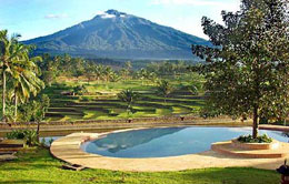 Ijen Resort Ijen Resort