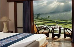 Ijen Resort Ijen Resort