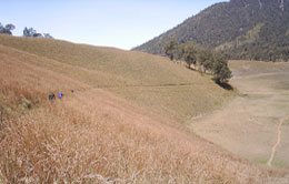 Kalimati Trekking Kalimati Trekking