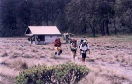 Kalimati Trekking Kalimati Trekking