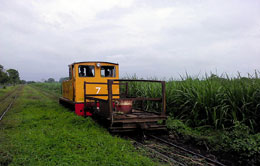 Cane Railway Transport Cane Railway Transport