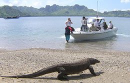Komodo Island Komodo Island