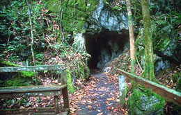Milk Cave