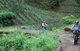 Ngadas Adventure Ngadas Adventure