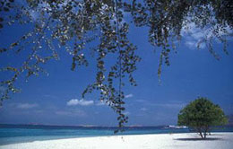 Paradise - Gili Nanggu Paradise - Gili Nanggu