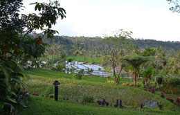 Ijen Resort Ijen Resort