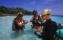 Discover Scuba Diving