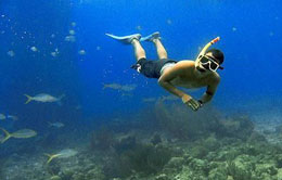 Snorkeling Snorkeling