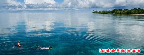 East Lombok Snorkeling