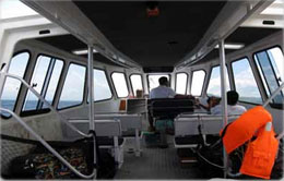 Gili Cat Interior Gili Cat Interior