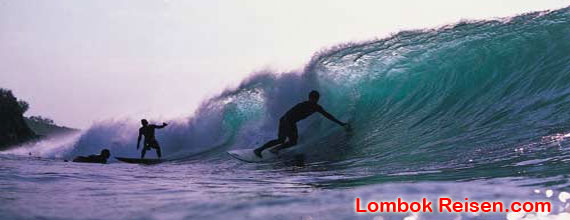 Diving, Snorkeling and Surfing