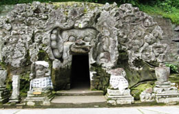 The Elephant Cave The Elephant Cave