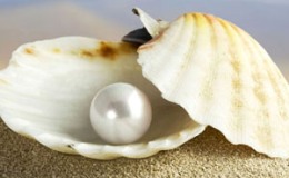 Lombok Pearls