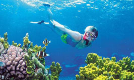 Gili Air Snorkeling Trip