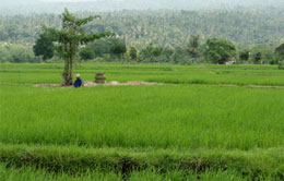 Lombok Soft Trekking Tour