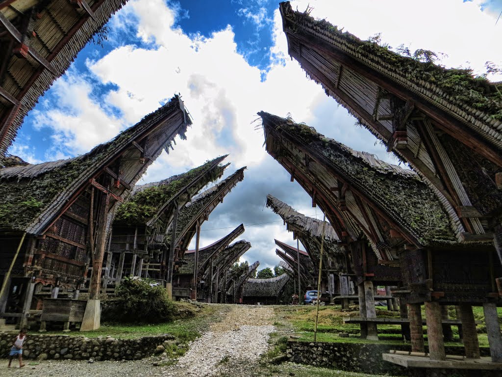 Best Things to Do in Tana Toraja